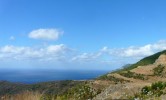 bild_1017_03.jpg