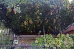 bild_1145_12.jpg