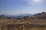 bild_1149_02.jpg