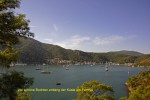 bild_1168_02.jpg