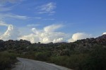 bild_1171_05.jpg