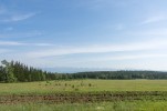 bild_1671_03.jpg