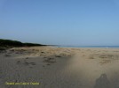 bild_459_07.jpg
