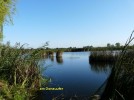 bild_664_02.jpg