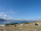 bild_690_01.jpg