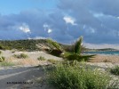 bild_711_01.jpg