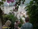 bild_721_01.jpg
