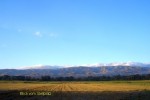 bild_980_18.jpg